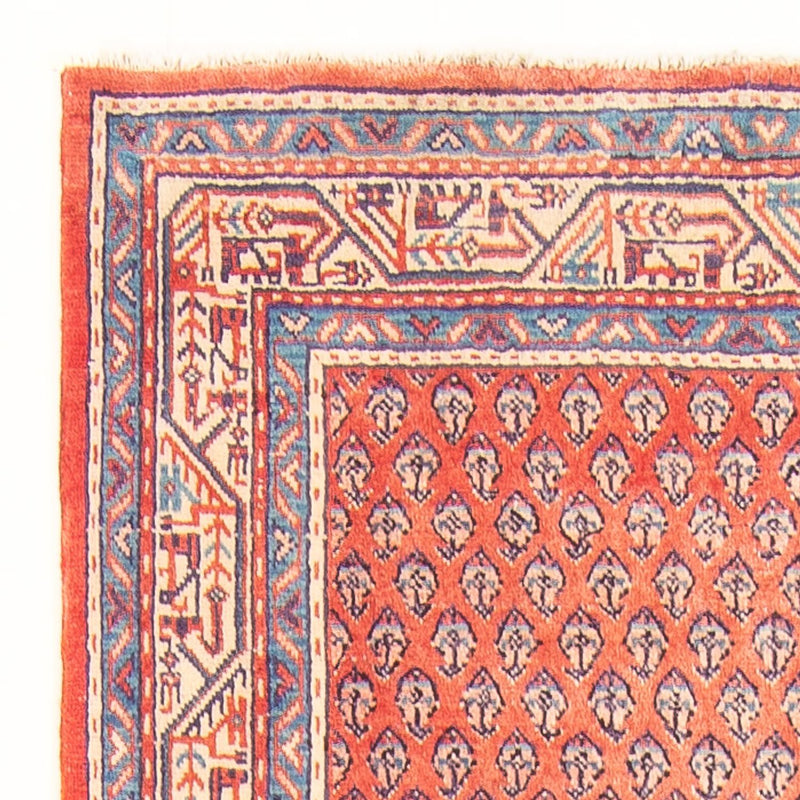 Mir Tapete 316x107cm - Tapete persa