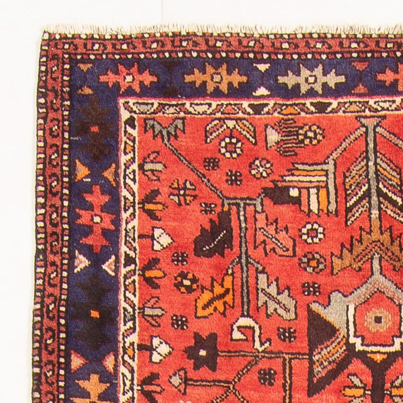 Bidjar - Zanjan Tapete 300x106cm - Tapete persa