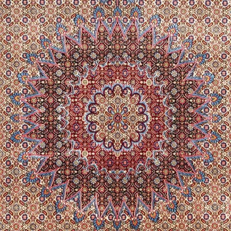 Moud Tapete 290x200cm - Tapete persa
