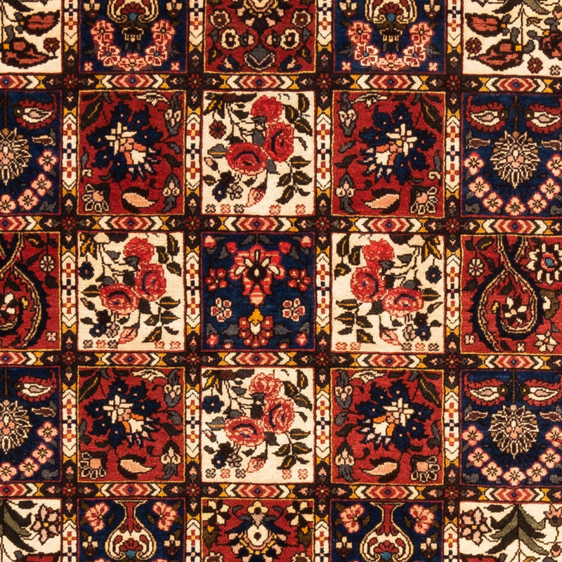 Bakhtiari Tapete 250x155cm - Tapete persa