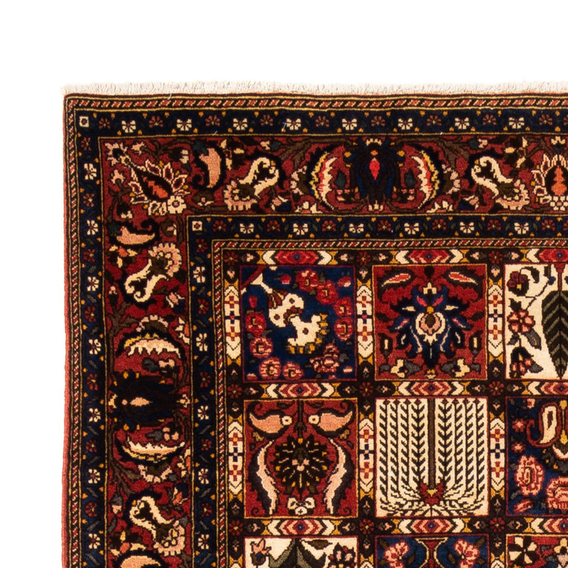Bakhtiari Tapete 250x155cm - Tapete persa