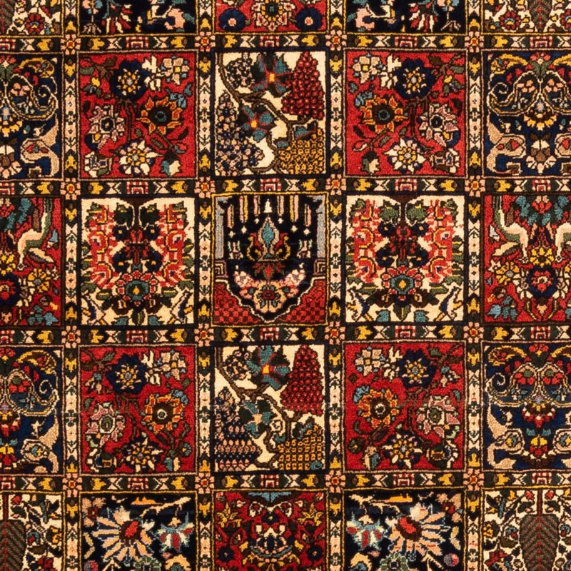 Bakhtiari Tapete 250x155cm - Tapete persa