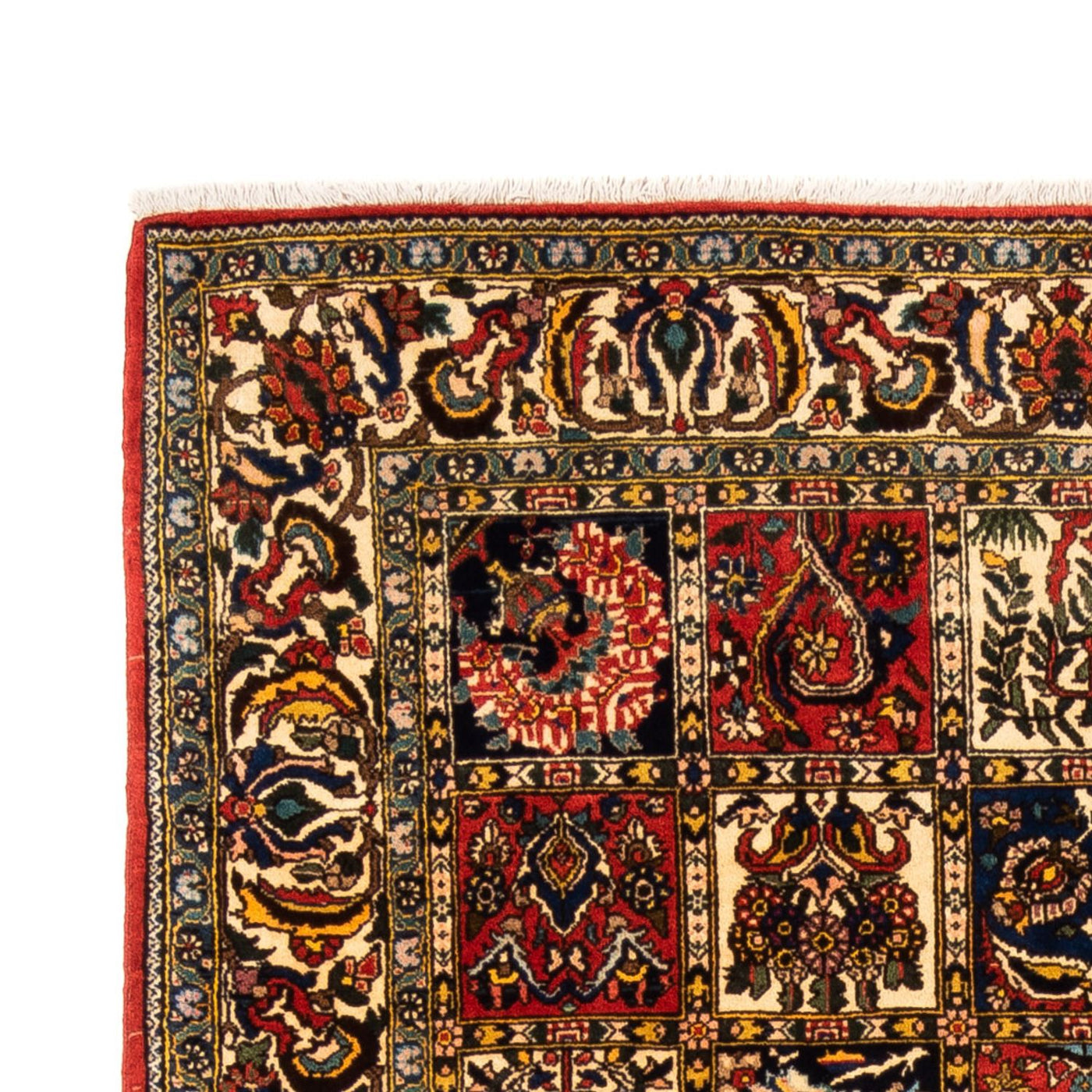 Bakhtiari Tapete 250x155cm - Tapete persa