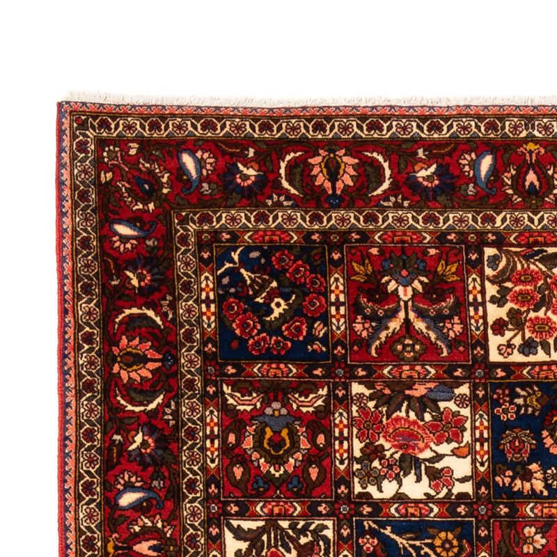 Bakhtiari Tapete 260x157cm - Tapete persa