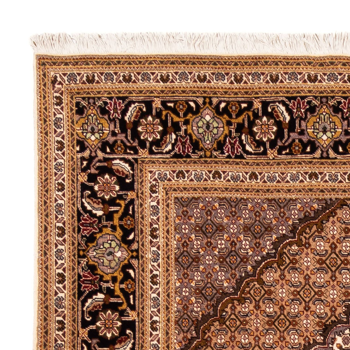 Tabriz - 50 Raj Tapete 256x250cm - Tapete persa