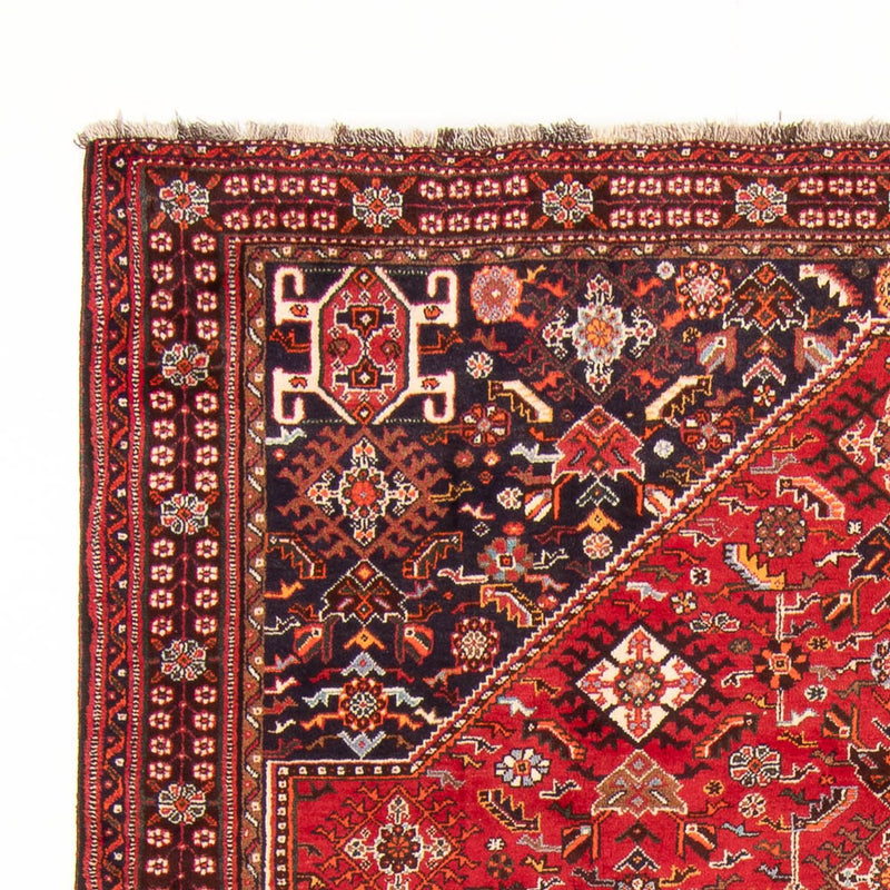 Qashqai Tapete 290x208cm - Tapete persa