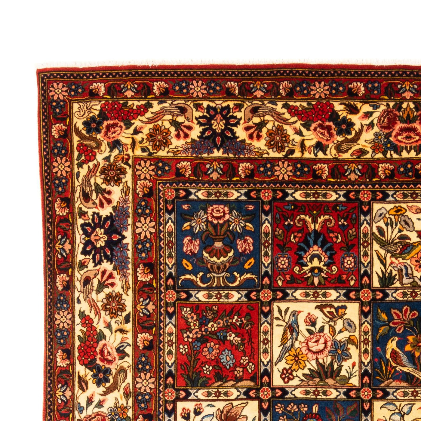 Tapete Persa - Nomadic - 315 x 204 cm - multicolorido