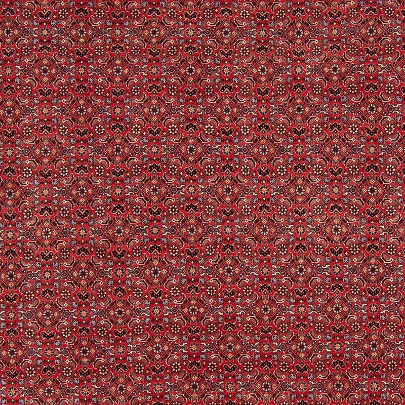 Bidjar Tapete 272x217cm - Tapete persa