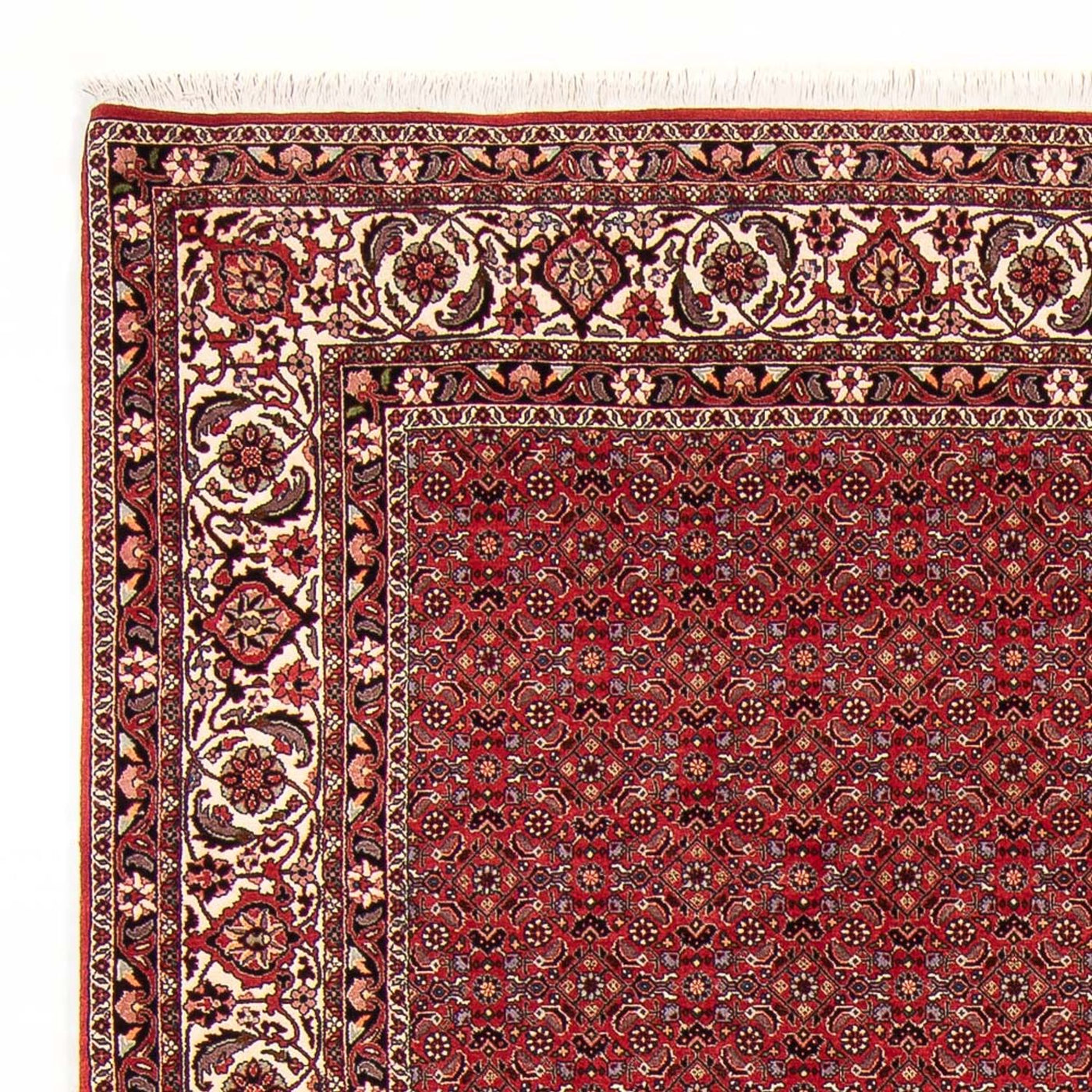 Bidjar Tapete 272x217cm - Tapete persa