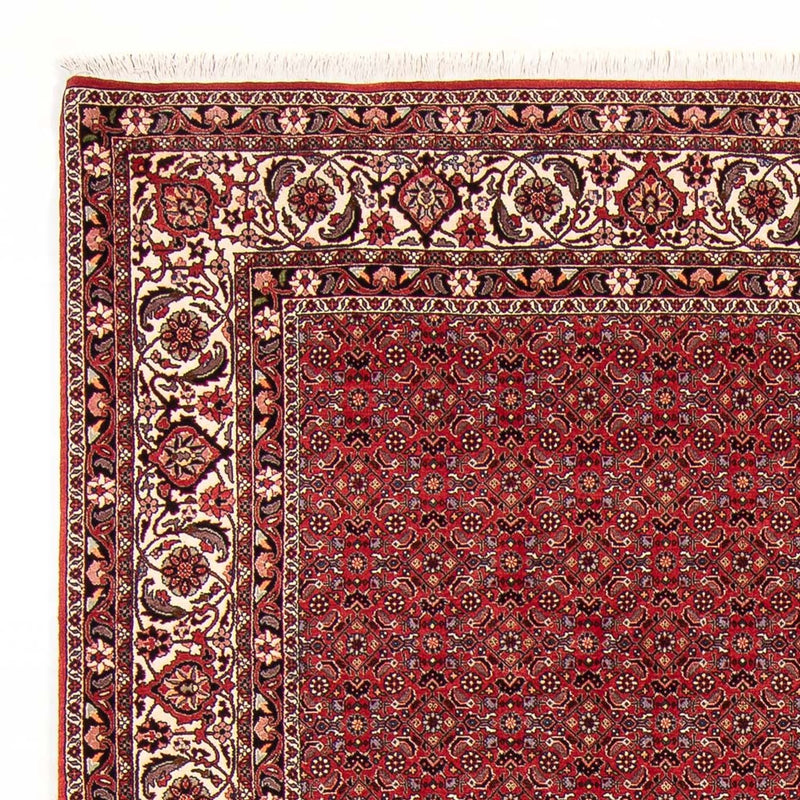 Bidjar Tapete 272x217cm - Tapete persa