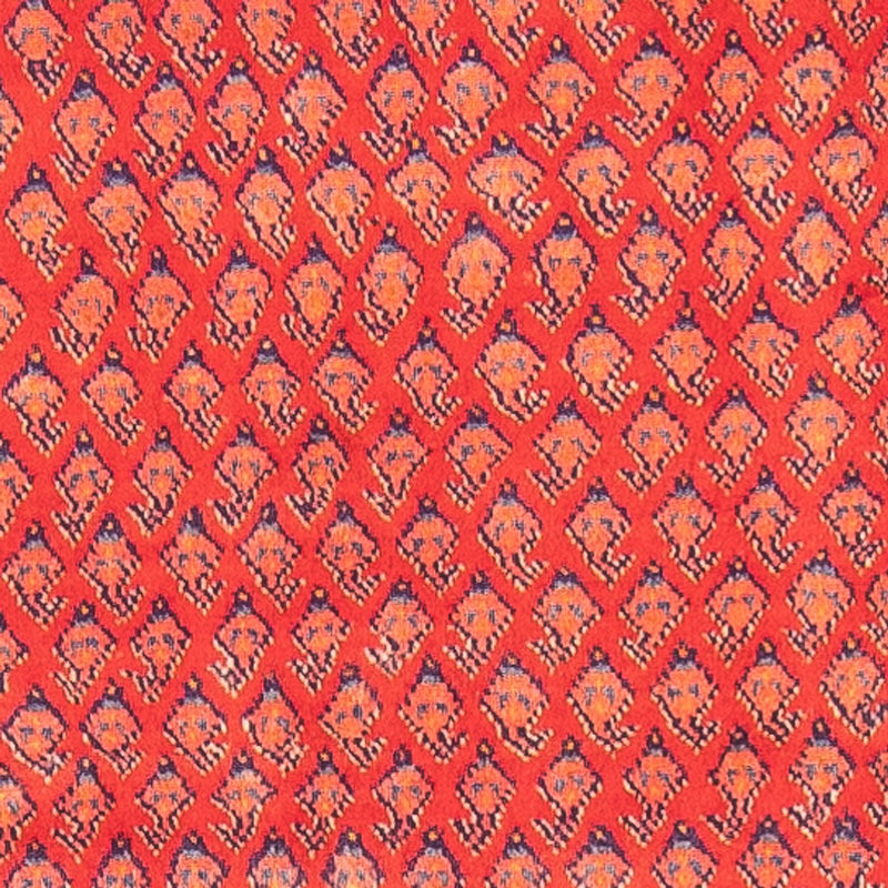 Hamadan Tapete 108x323cm - Tapete persa
