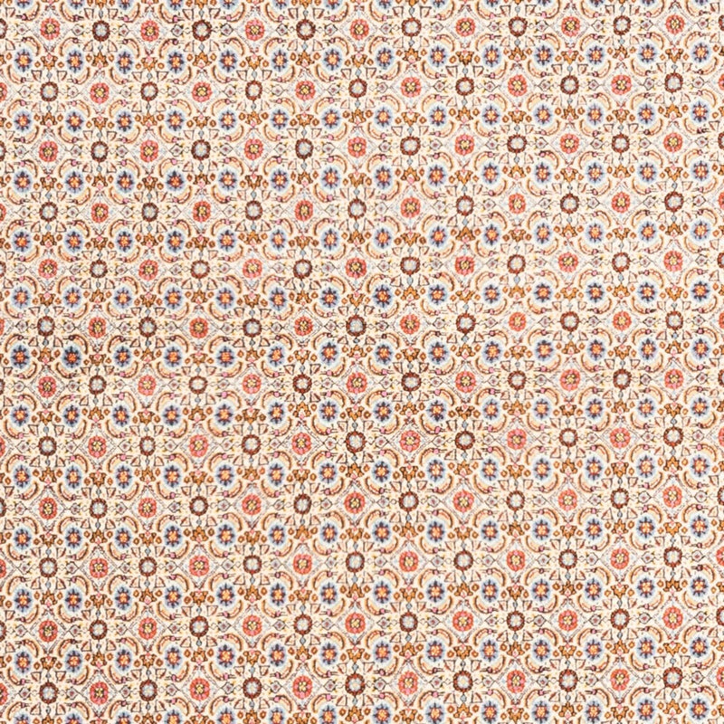 Moud Tapete 244x165cm - Tapete persa