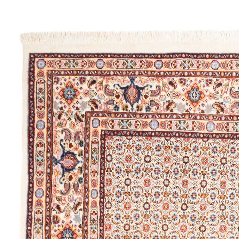 Moud Tapete 244x165cm - Tapete persa