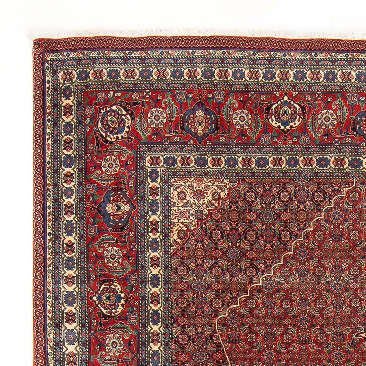Tabriz - 50 Raj Tapete 202x290cm - Tapete persa