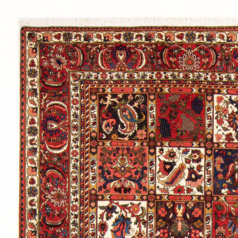 Bakhtiari Tapete 314x210cm - Tapete persa