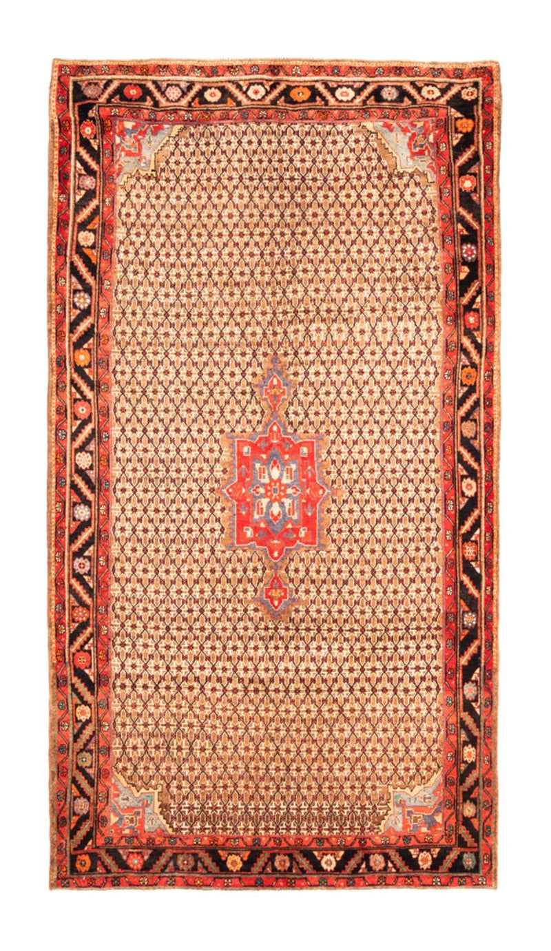 Kolyai Tapete 313x170cm - Tapete persa