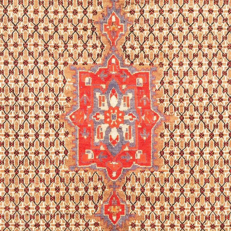 Kolyai Tapete 313x170cm - Tapete persa