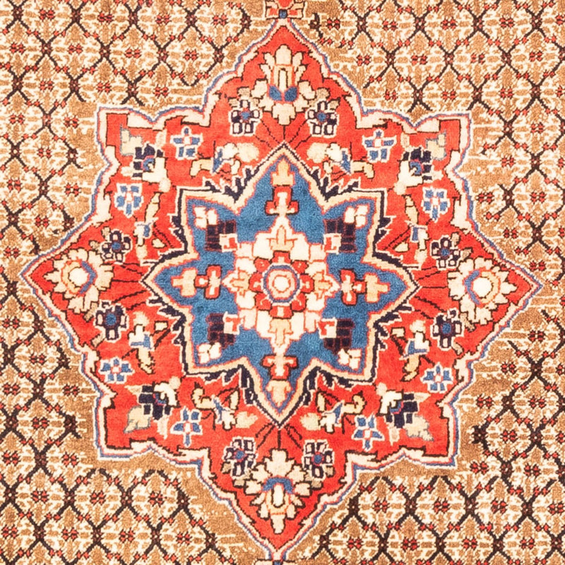 Kolyai Tapete 310x158cm - Tapete persa