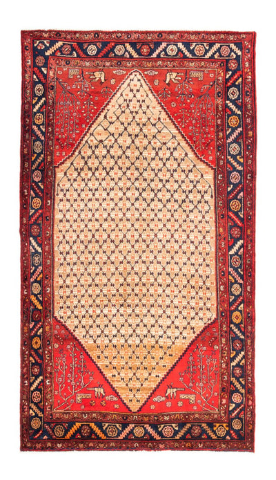 Kolyai Tapete 153x273cm - Tapete persa