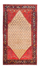 Kolyai Tapete 273x153cm - Tapete persa