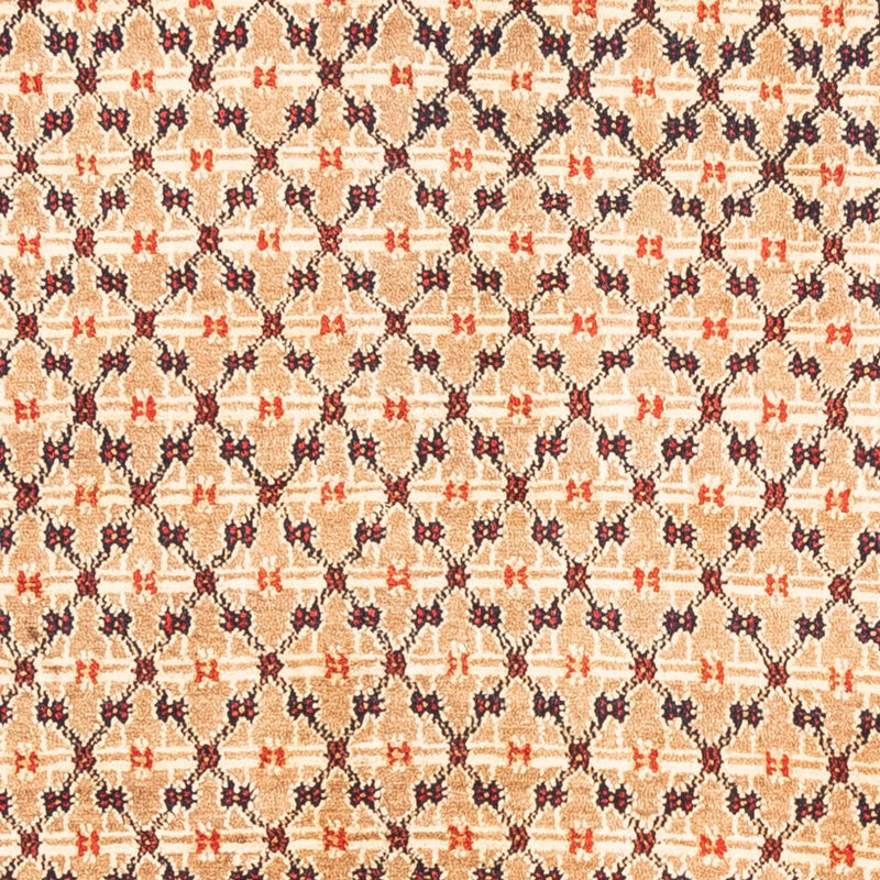 Kolyai Tapete 273x153cm - Tapete persa
