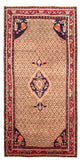 Kolyai Teppich 310x160cm - Perserteppich