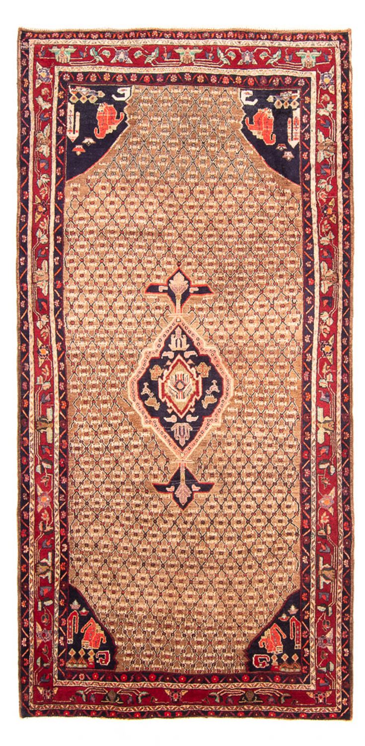 Kolyai Teppich 310x160cm - Perserteppich