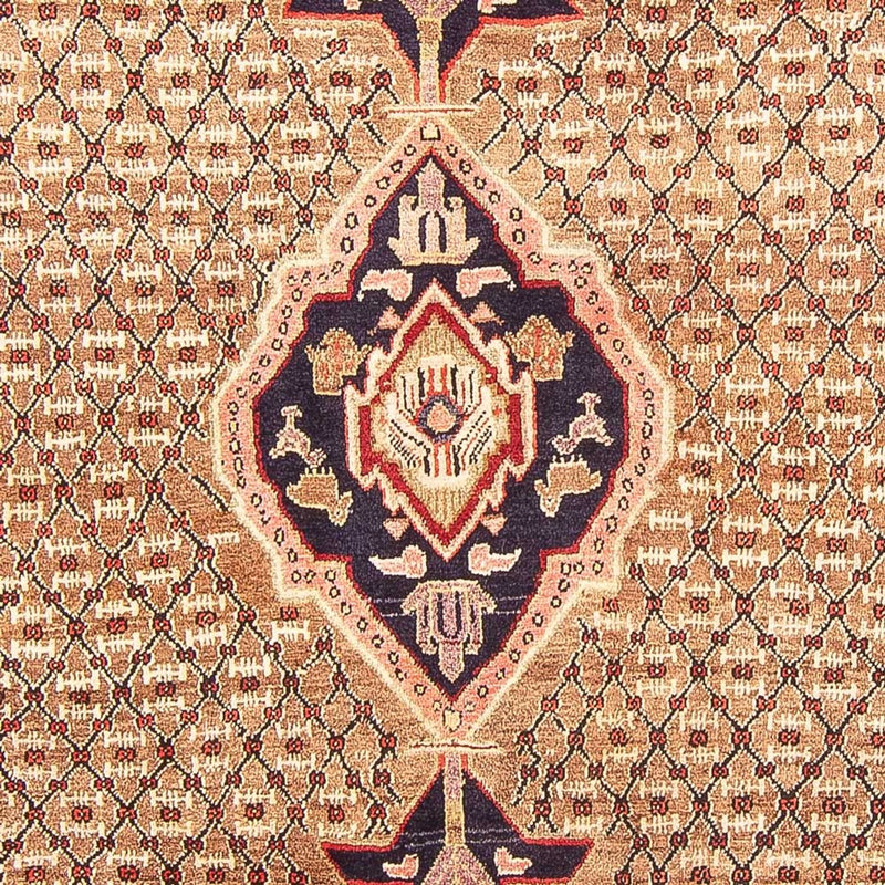 Kolyai Teppich 310x160cm - Perserteppich