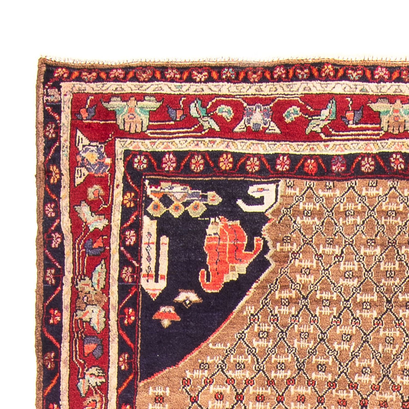 Kolyai Teppich 310x160cm - Perserteppich