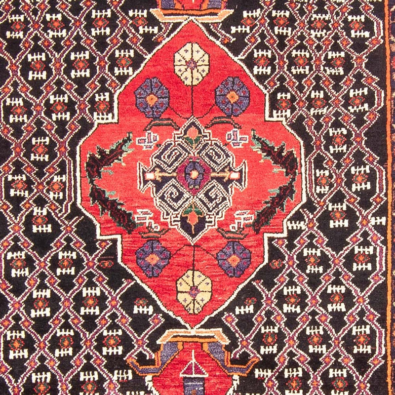 Kolyai Teppich 313x152cm - Perserteppich