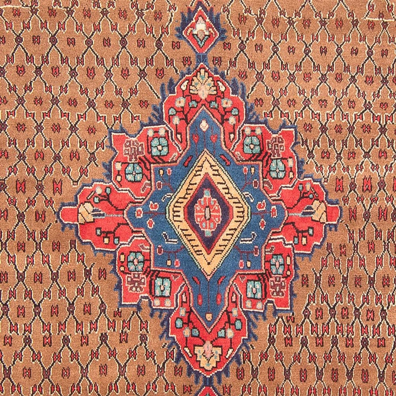 Kolyai Tapete 160x307cm - Tapete persa