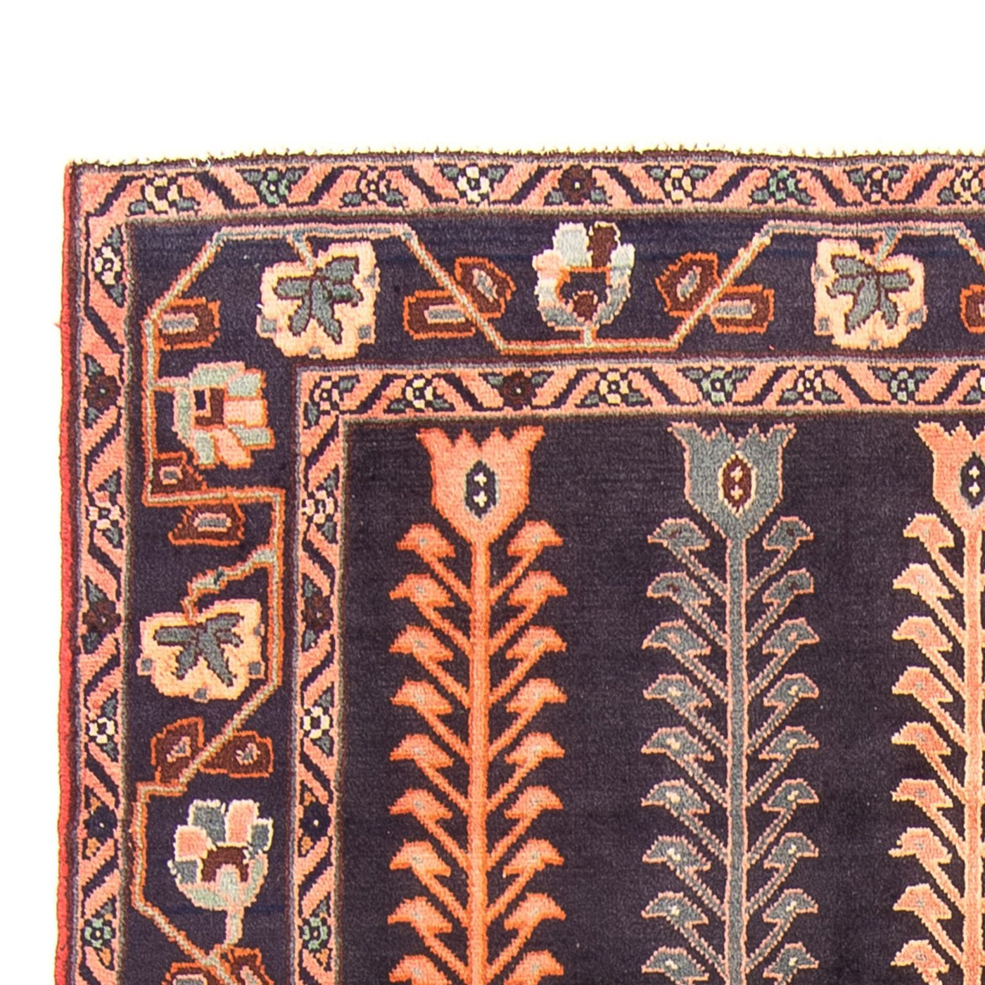 Sarouk Tapete 283x156cm - Tapete persa