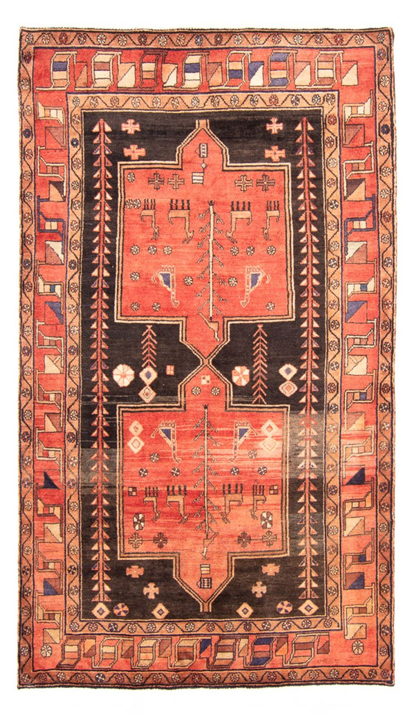 Kolyai Tapete 284x163cm - Tapete persa