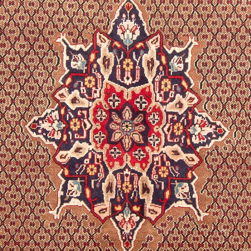 Kolyai Tapete 300x152cm - Tapete persa