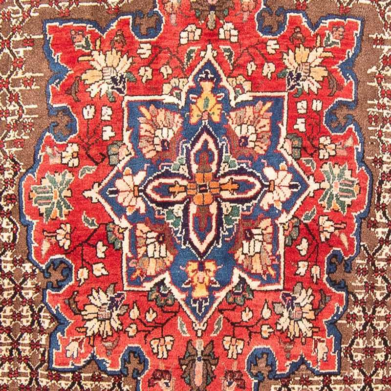 Kolyai Tapete 298x155cm - Tapete persa