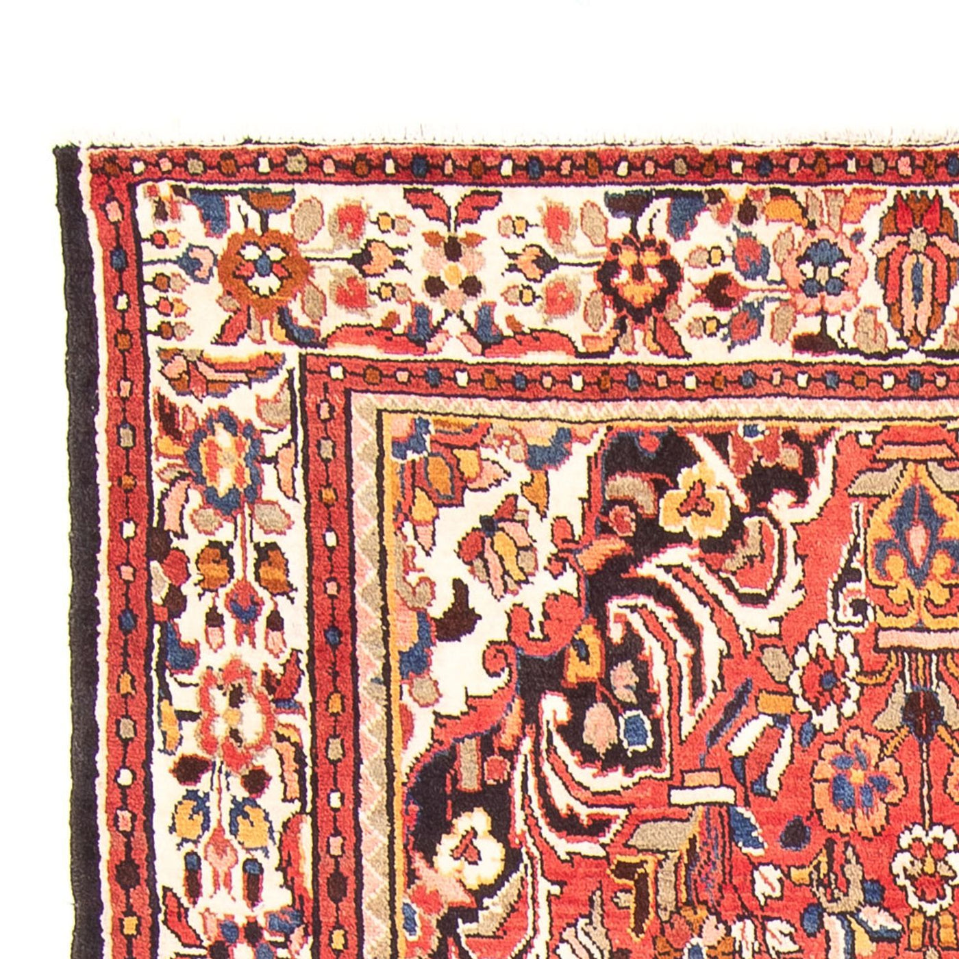 Hamadan Tapete 300x158cm - Tapete persa