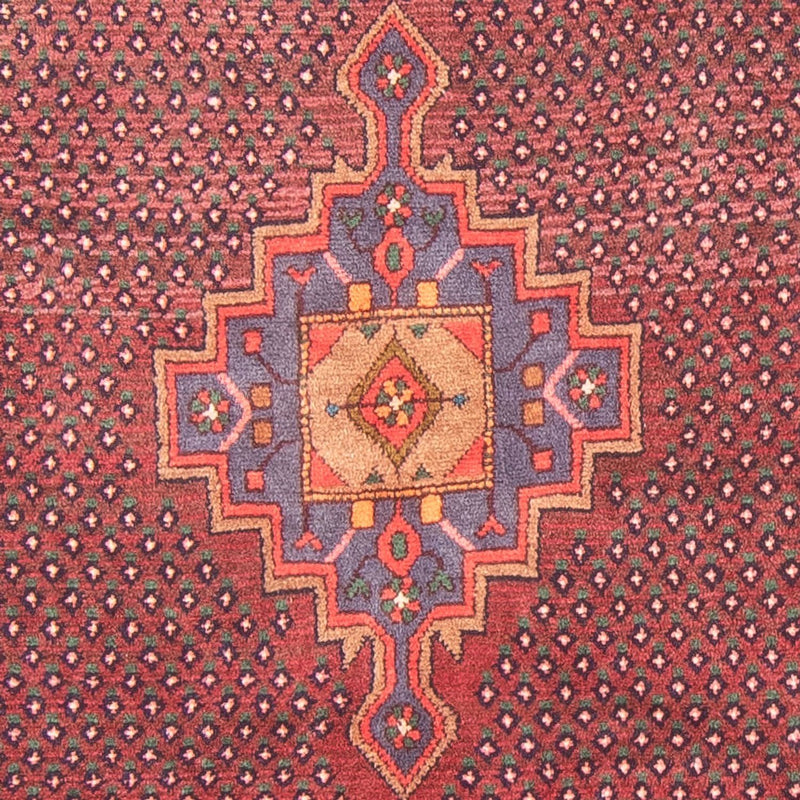 Bidjar - Zanjan Tapete 275x140cm - Tapete persa