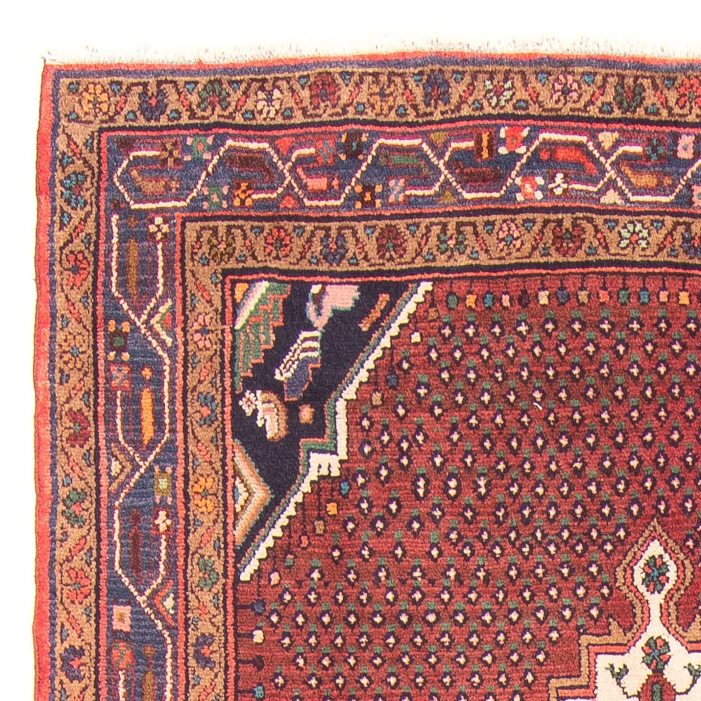 Bidjar - Zanjan Tapete 275x140cm - Tapete persa