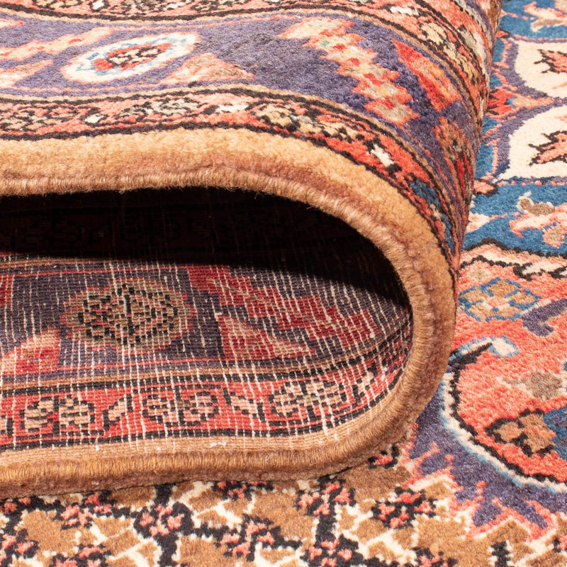 Kolyai Teppich 310x155cm - Perserteppich