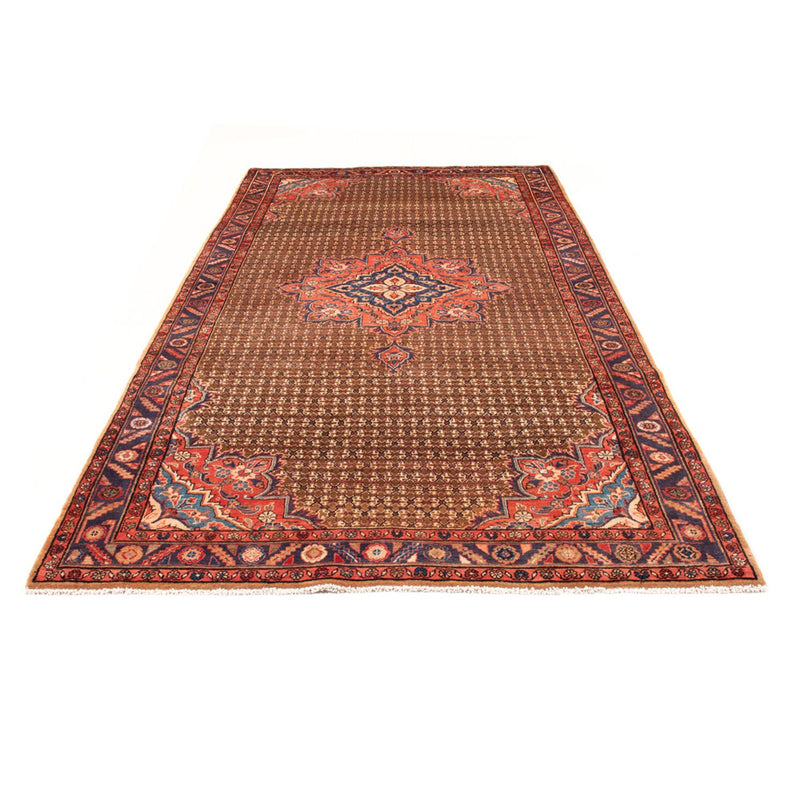 Kolyai Teppich 310x155cm - Perserteppich