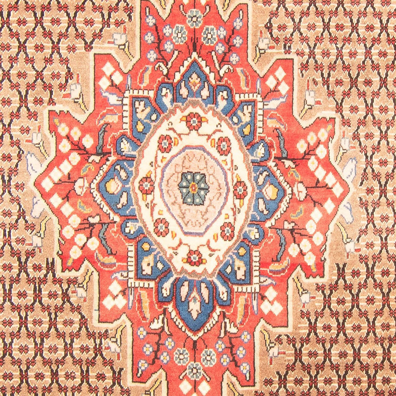 Kolyai Tapete 150x310cm - Tapete persa