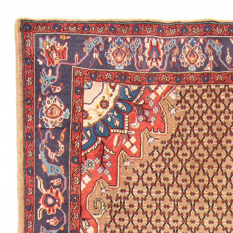 Kolyai Tapete 150x310cm - Tapete persa