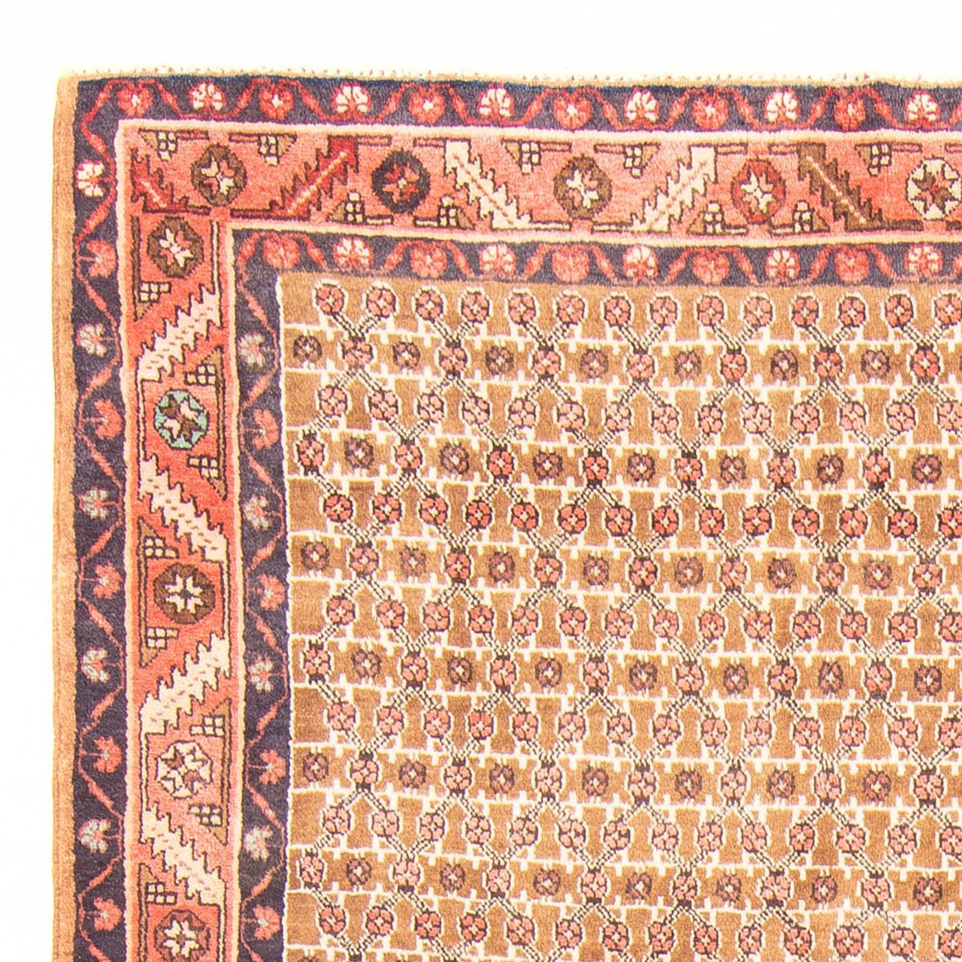 Kolyai Tapete 343x146cm - Tapete persa