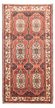 Bakhtiari Tapete 300x166cm - Tapete persa