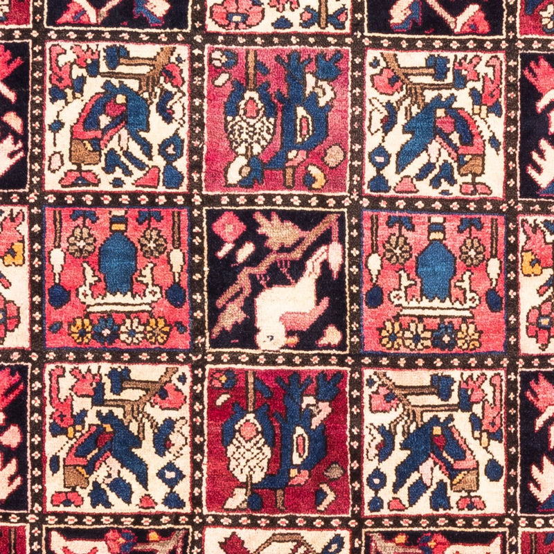 Bakhtiari Tapete 300x160cm - Tapete persa