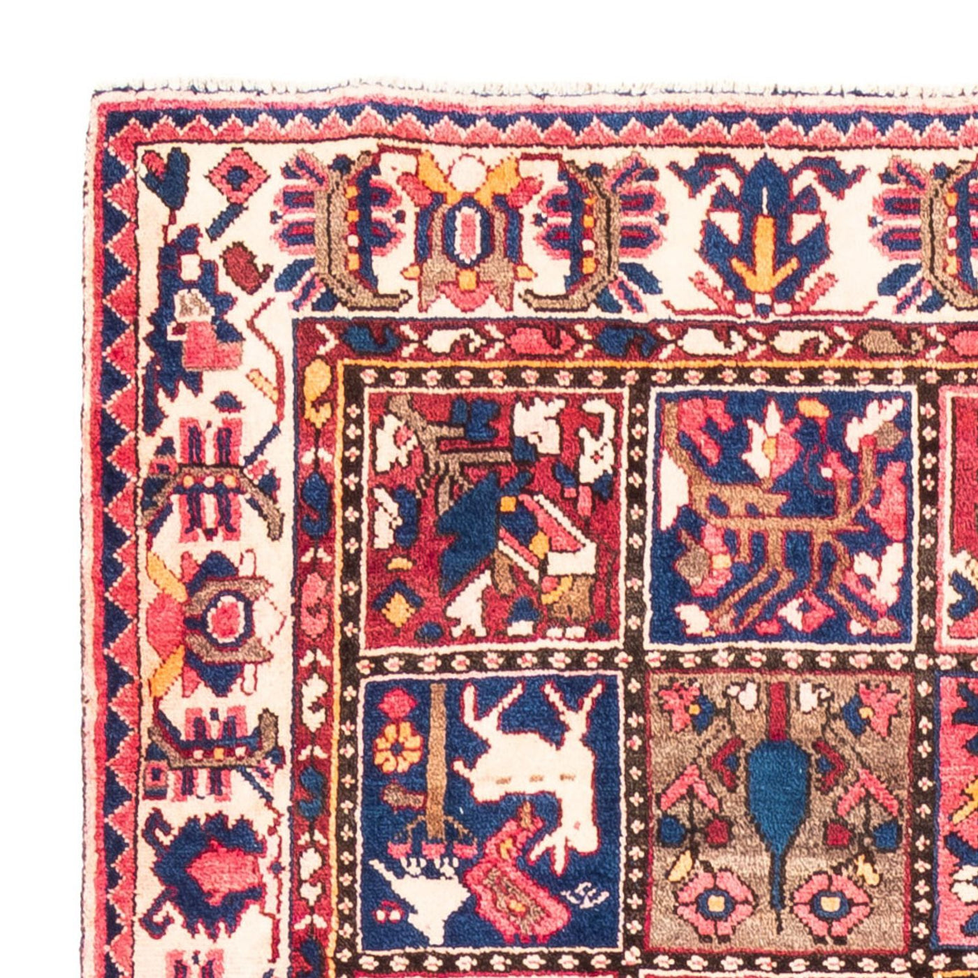 Bakhtiari Tapete 300x160cm - Tapete persa