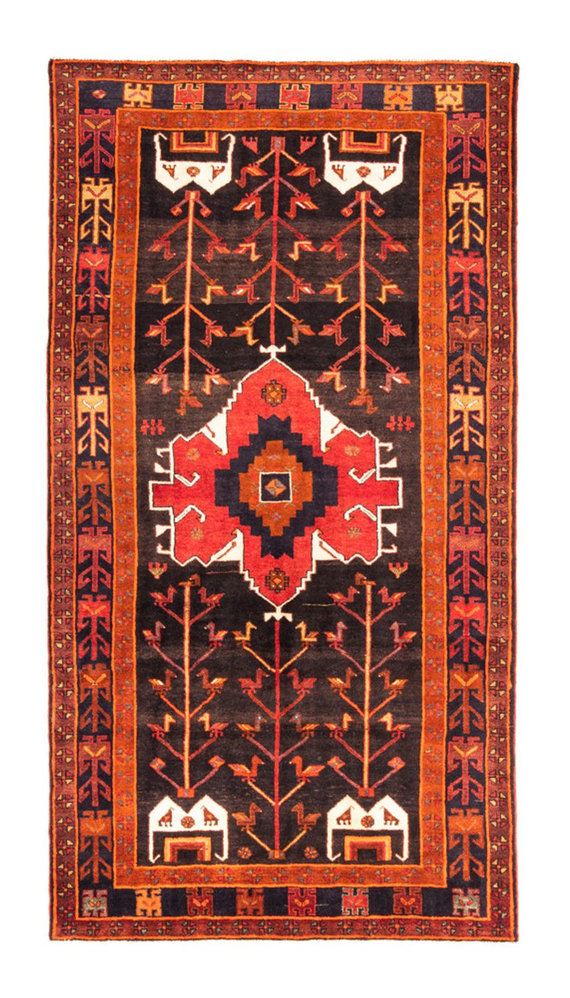 Kolyai Tapete 303x162cm - Tapete persa