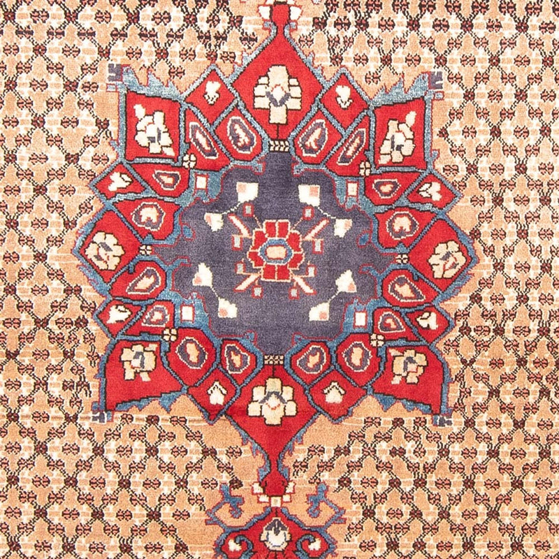 Kolyai Tapete 290x150cm - Tapete persa