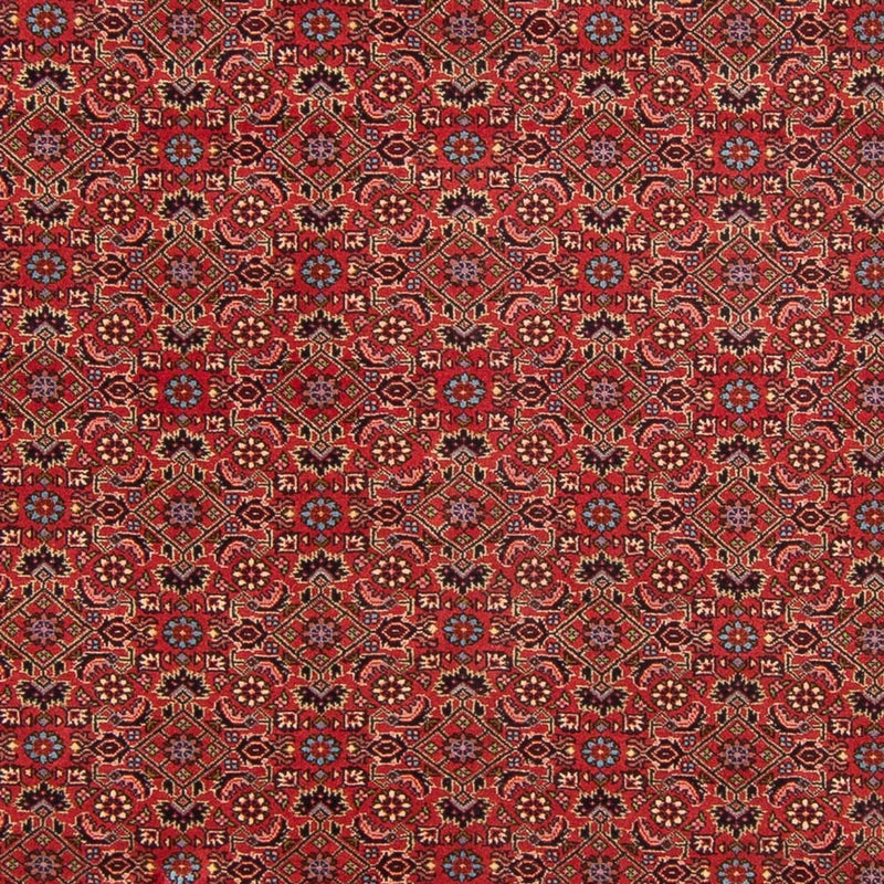 Bidjar - Bukan Tapete 296x197cm - Tapete persa