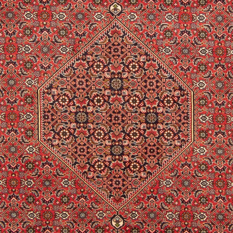 Bidjar - Bukan Tapete 298x197cm - Tapete persa